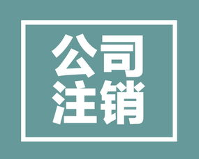 小規(guī)模納稅人企業(yè)注銷流程詳解與代辦電信業(yè)務(wù)注意事項